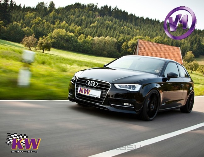 Coilover KW V1 inox Seat Altea 5P 1.8 TSI 06/2004-